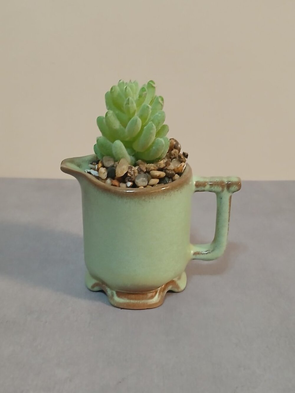 Frankoma Pottery "Plainsman Green" Small Creamer - Picture 7 of 7